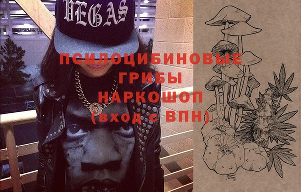 героин Алексин